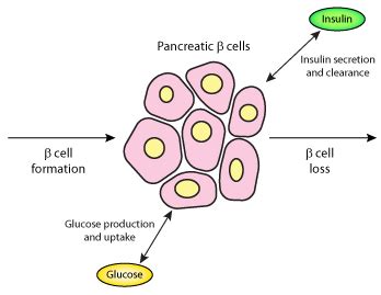 Thesis diabetes type 2